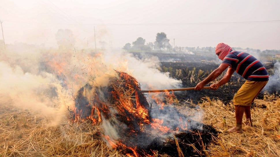 &#039;A matter of concern&#039;: CAQM on increased incidents of stubble burning in Punjab 