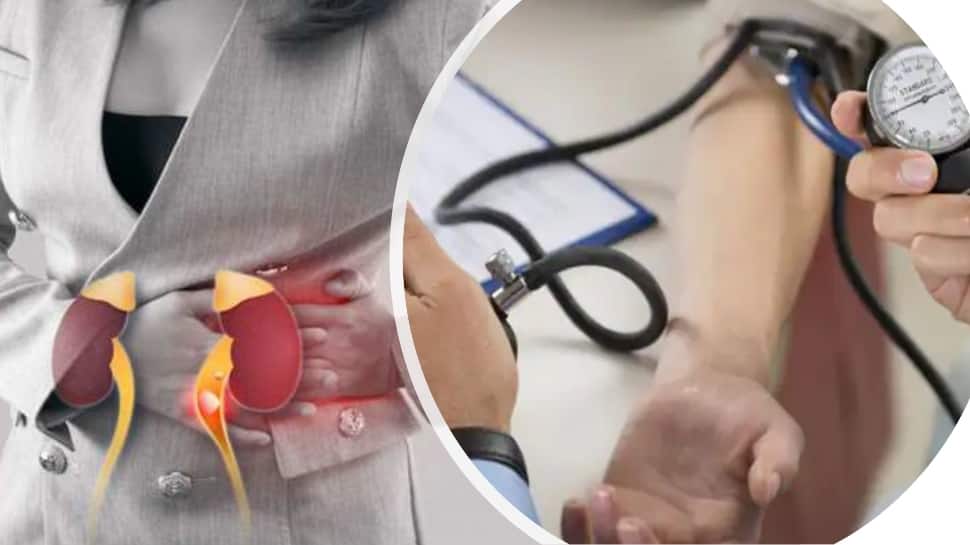 High blood pressure dangers: Effect of uncontrolled high bp on the kidneys