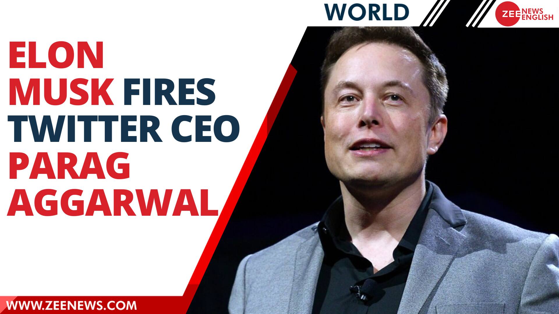 Elon Musk Acquires Twitter; And Fires Its Top Executives Included CEO ...