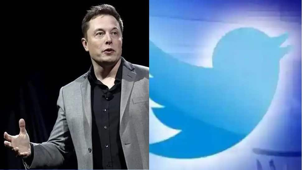 Twitter takeover: No account reinstatements without content moderation council, says Elon Musk