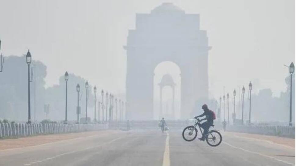 ‘Stress is on seasonal action, not yearlong effort’: Environmentalists on Delhi’s ‘severe’ Air Quality