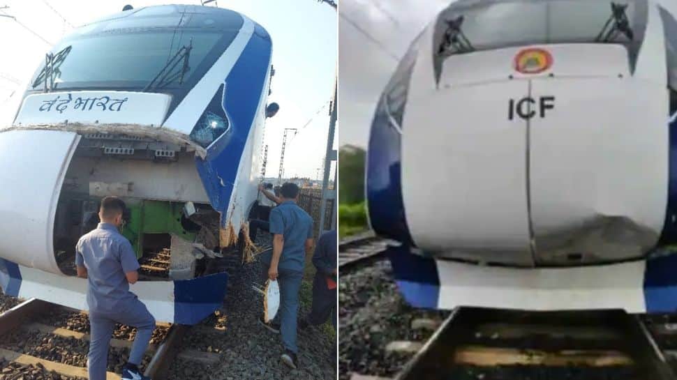 Vande Bharat Express accident: Railways warns cattle owners to be cautious around train tracks