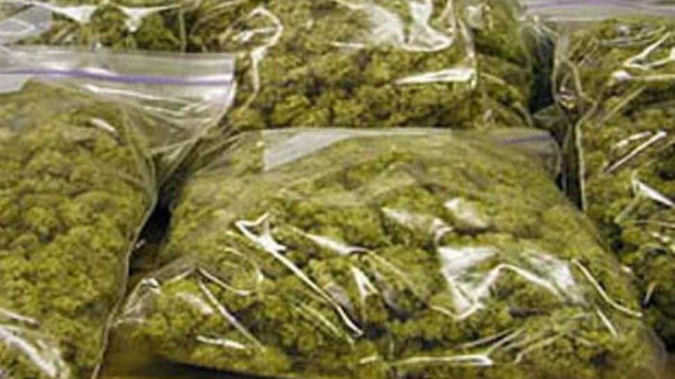 Kerala police seize ganja from school&#039;s security room; staff absconding