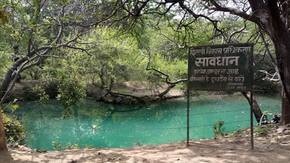 Sanjay Van, New Delhi