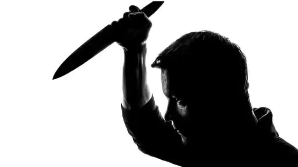 Fired from job, Delhi man hacks former bosses to death - Vimarsana News