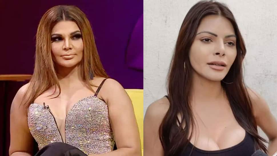 Sherlyn Chopra to Rakhi Sawant, &#039;Burnol bheja jaye...&#039;, slams Bigg Boss star for calling her rape allegations against Sajid Khan &#039;FAKE&#039; - Watch