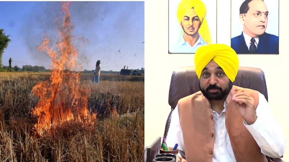 &#039;Why concerns ONLY for...&#039;: Punjab CM Bhagwant Mann lashes out at Modi Government over THIS