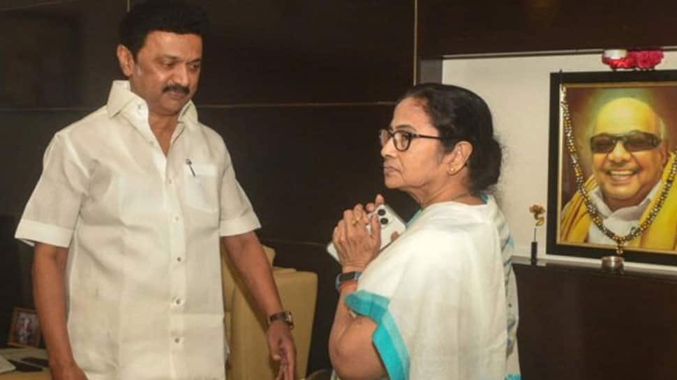 &#039;MK Stalin is my BROTHER...&#039;: Mamata Banerjee after courtesy meeting with Tamil Nadu CM