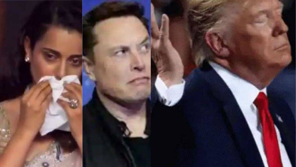 Donald Trump, Kangana Ranaut going to be back on Twitter on THIS date? Check what Elon Musk said