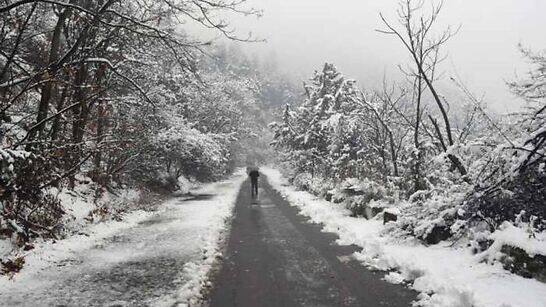 Schools shut in two Jammu and Kashmir districts due to intense rain, snowfall