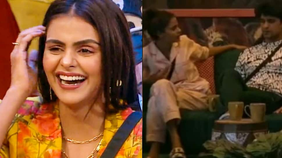 Bigg Boss 16: Priyanka Chahar Choudhary makes best friend Ankit Gupta&#039;s birthday special, fans are awestruck!