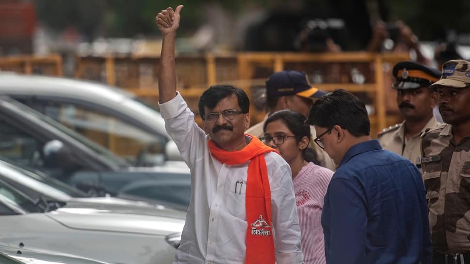 &#039;TIGER IS BACK&#039;: Twitter FLOODED with memes after Sanjay Raut&#039;s bail, Shiv Sena MP says &#039;Now I will FIGHT...&#039;