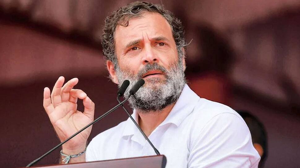 &#039;Himachal Pradesh will VOTE FOR...&#039;: Congress MP Rahul Gandhi&#039;s BIG appeal to voters on election day