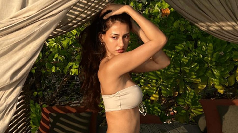 Ankita Sharma Sex - HOT PICS: Disha Patani burns internet in leopard-print bikini, check our  her stunning look | People News | Zee News
