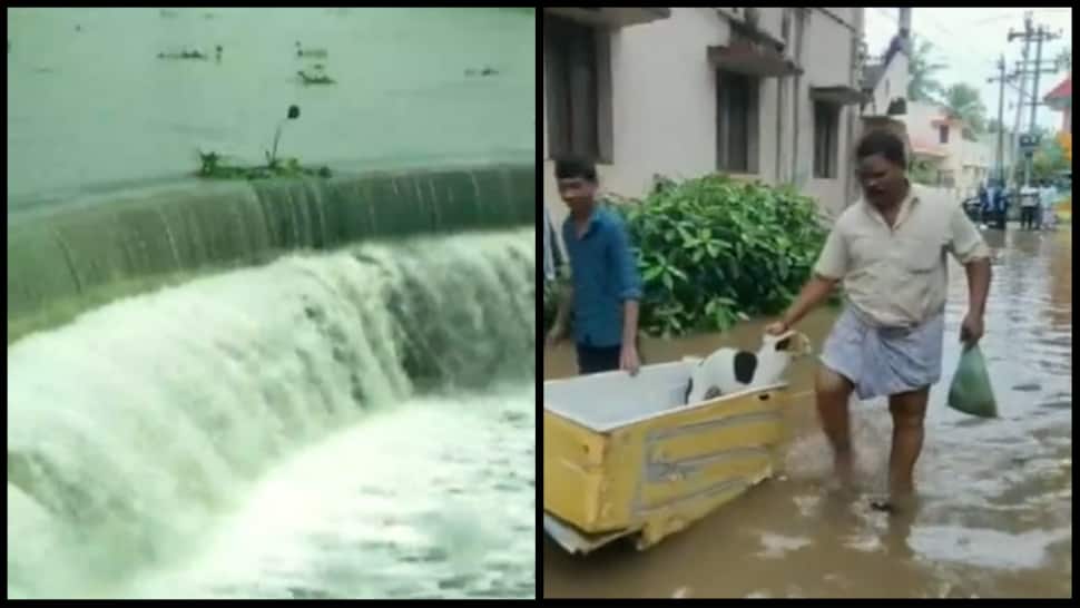 Tamil Nadu Dams Overflow Cities Waterlogged Amid Heavy Rains Watch India News Zee News