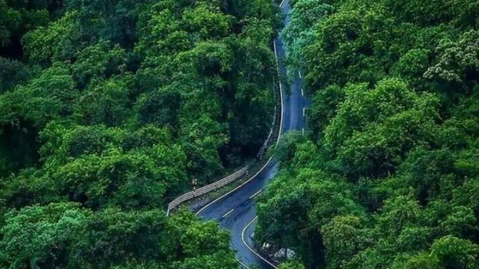 Ooty Coonoor Hairpin Route