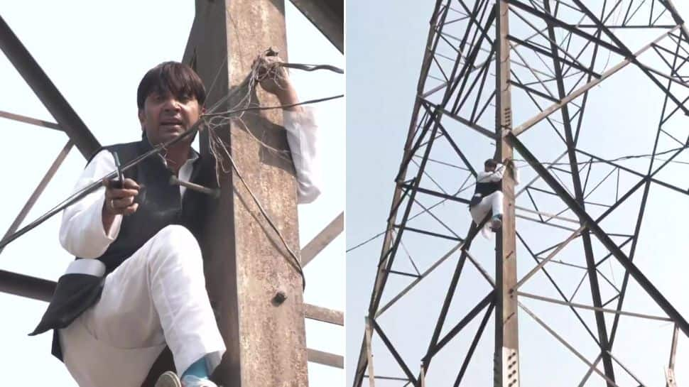 MCD polls: AAP councillor CLIMBS transmission tower over not getting ticket to contest