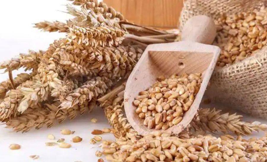 India Govt lays out action plan to promote Millet export commencing from December 2022