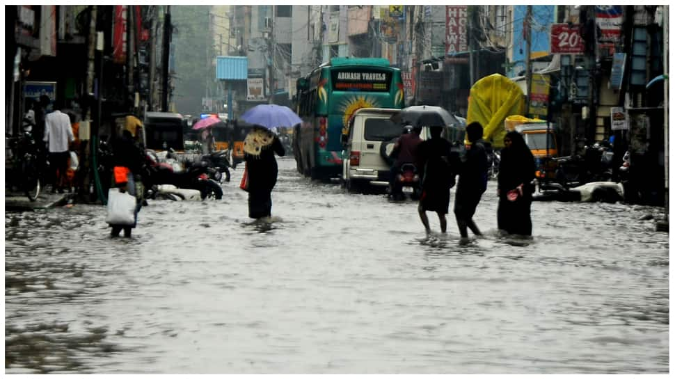 Tamil Nadu Rains: Schools, colleges closed in Mayiladuthurai amid heavy rainfall