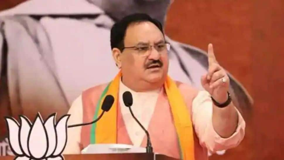 PM Modi brought into existence politics of report card: JP Nadda