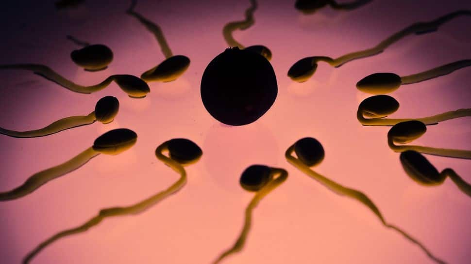 Sperm count in Indian men show a sharp decline: Study