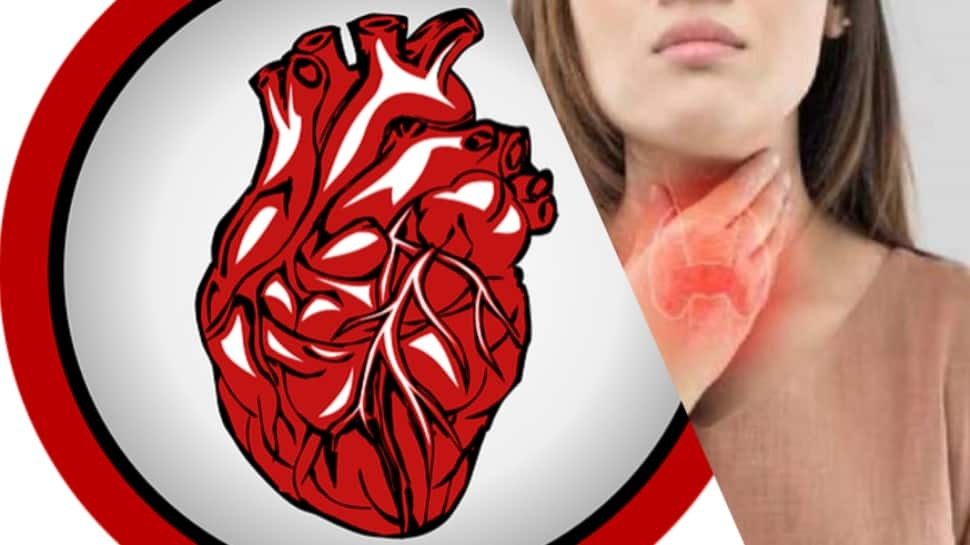 Thyroid Control: THIS is affecting your heart, tips to control your thyroid levels