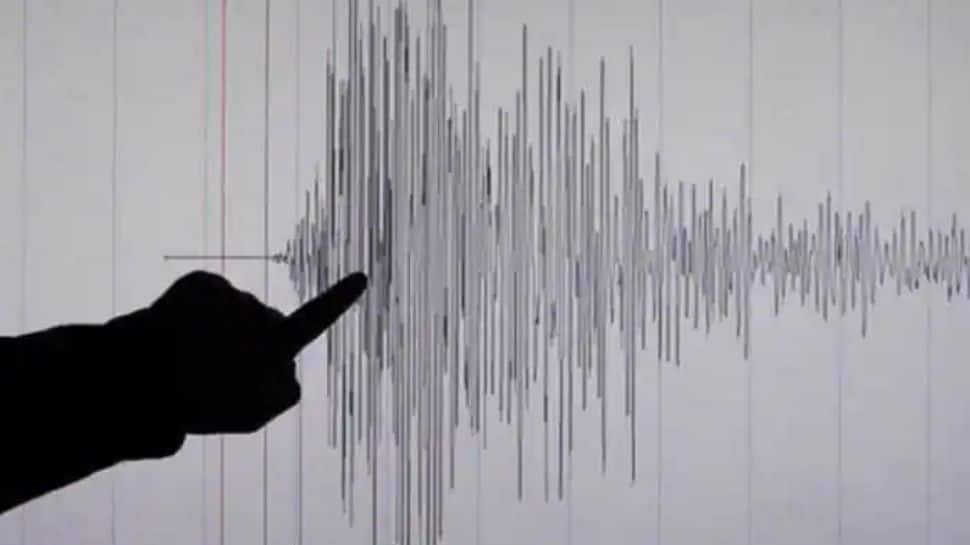 Himachal Pradesh jolted by 4.1 magnitude earthquake; no casualties reported
