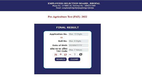 MP PAT 2022: Madhya Pradesh PAT result DECLARED on peb.mp.gov.in- Direct link to check scorecard here - Vimarsana News