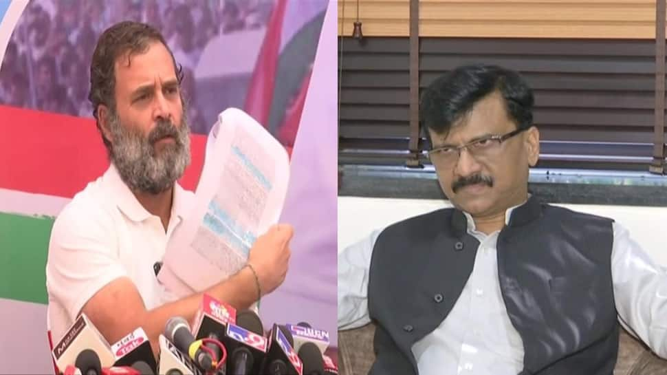 &#039;Neither Savarkar, nor Nehru must be INSULTED&#039;: Sanjay Raut on Rahul Gandhi&#039;s remarks