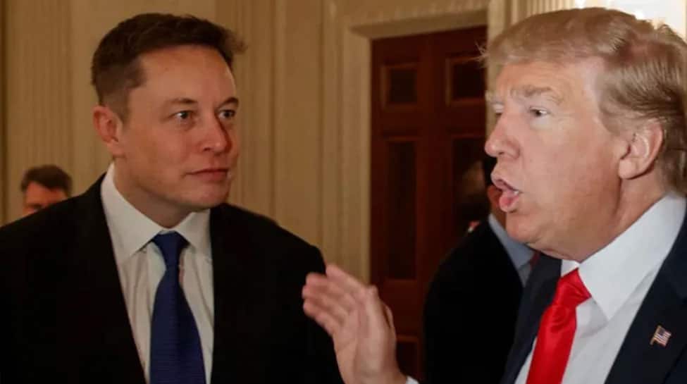 Elon Musk trolls Donald Trump with a vulgar and distasteful meme, Netizens are divided on the picture