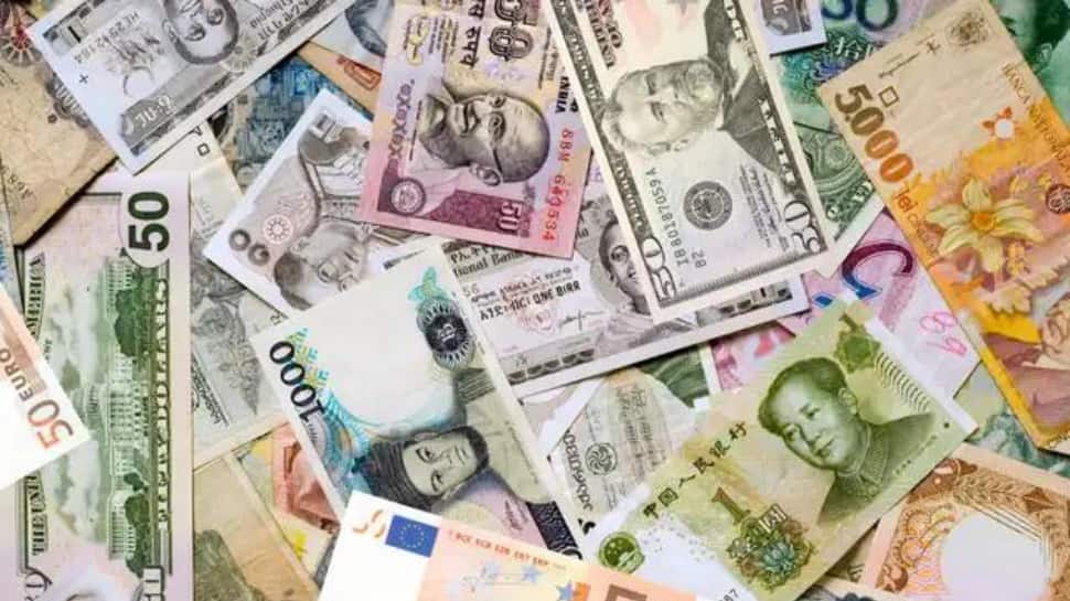 Explainer | What is a currency crisis and how have countries emerged from it? 