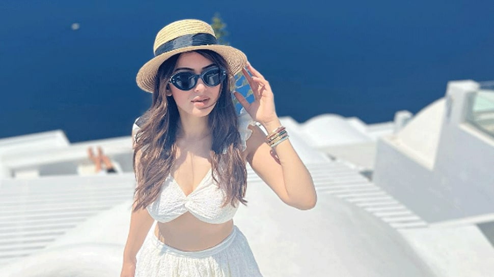 Hansika High Qulity Chudai - Days ahead of her wedding, Hansika Motwani celebrates bachelorette in  Greece, check out her party video | People News | Zee News