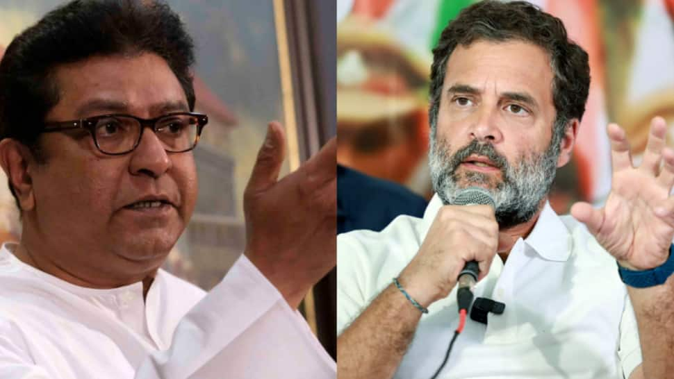 &#039;Does Rahul Gandhi have stature to talk ill about Savarkar?&#039;: Raj Thackeray slams Congress leader