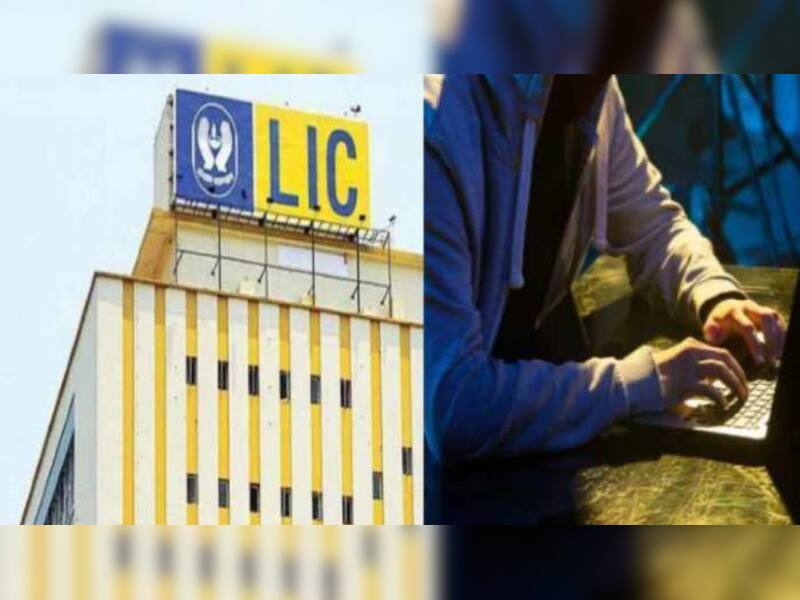 Joint investment option