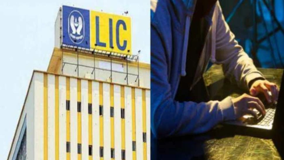 Joint investment option