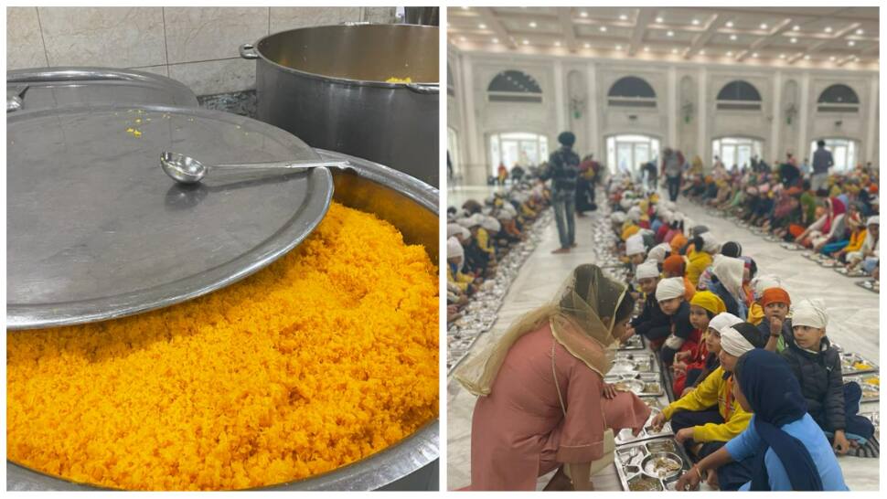 Vegan Spirituality: Karmicbuzz organises &#039;Langar&#039; to promote Veganism