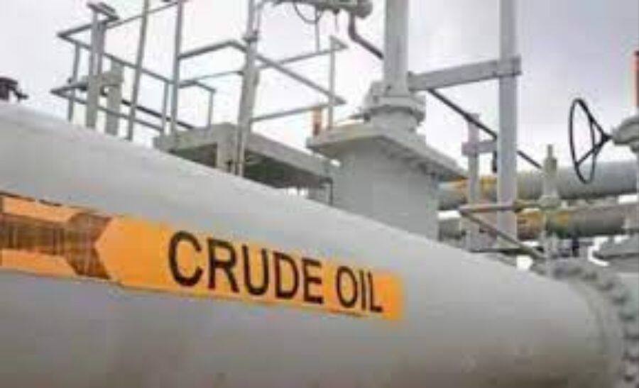 India to continue buying oil from all countries including Russia: Official