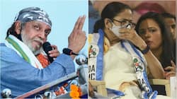 'Snake will HIBERNATE': TMC MOCKS Mithun, Mahua Moitra calls BJP 'HOWLING FOX'