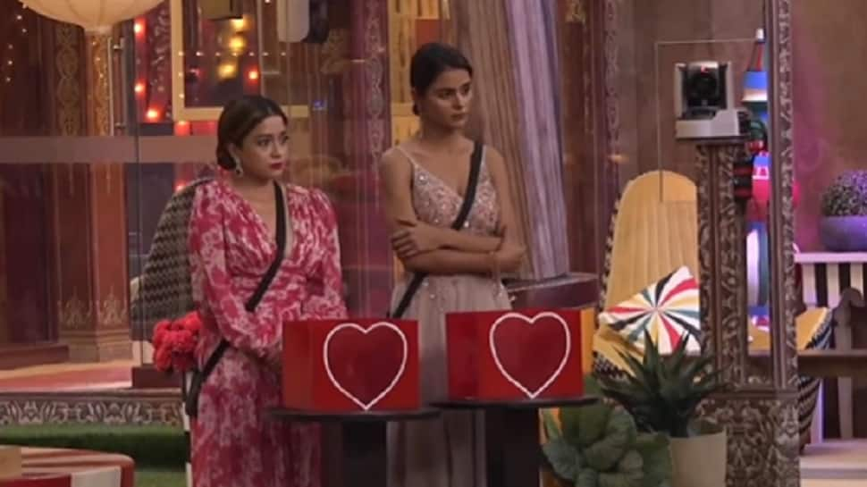 Bigg Boss 16: Housemates think Tina&#039;s heart is &#039;darker&#039; than Priyanka- WATCH