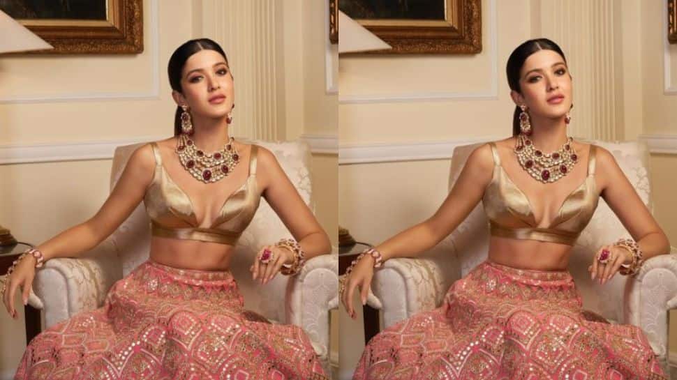 Shanaya Kapoor looks stunning in golden blouse and pink skirt