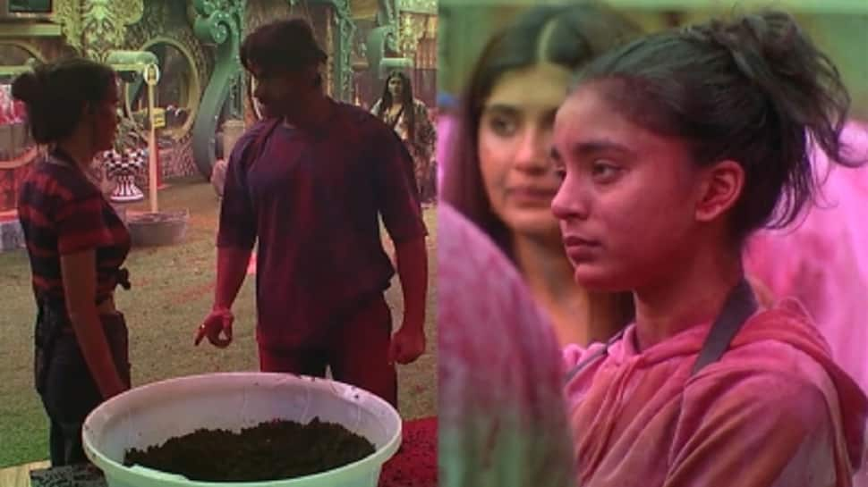 Bigg Boss 16: Priyanka, Shalin team up against Sumbul in captaincy task- WATCH