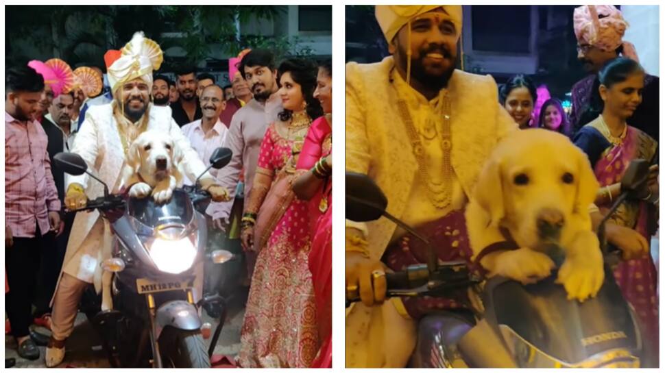 Groom enters wedding venue in SWAG, rides bike with his pet dog- Watch
