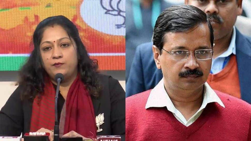 Woman made &#039;lucrative&#039; offers in exchange for support to AAP, says BJP councillor after MCD polls