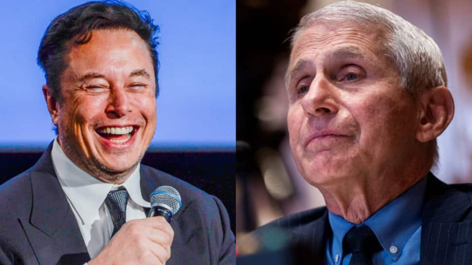 Elon Musk&#039;s condemnation of Dr Anthony Fauci is &#039;dangerous&#039;, &#039;disgusting&#039;: White House