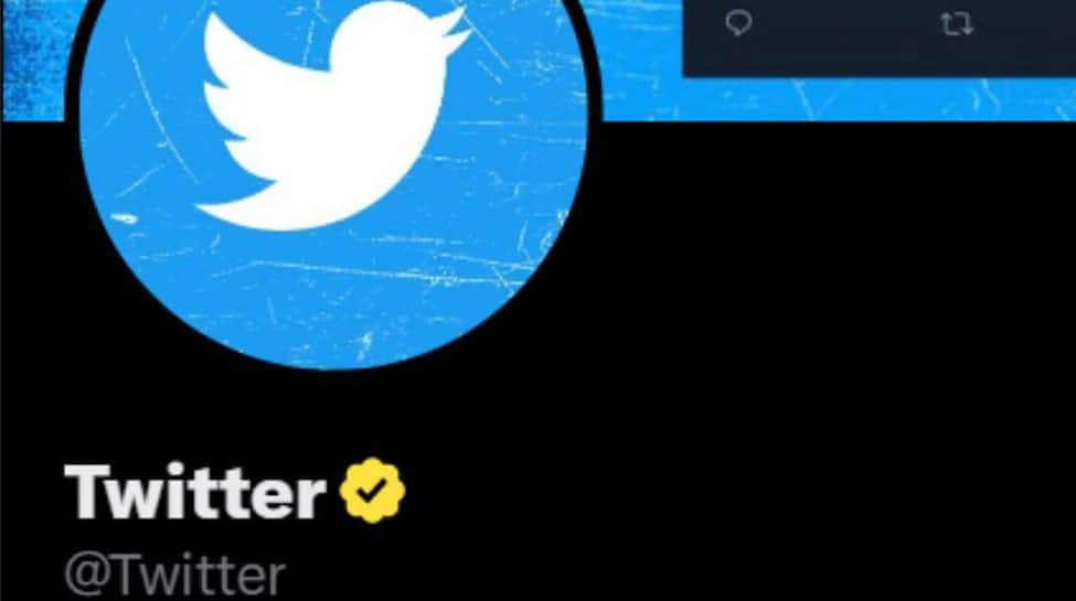 Twitter rolls out Golden ticks for businesses, blue ticks for everyone else