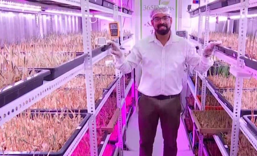 Software engineer starts saffron farming in truck