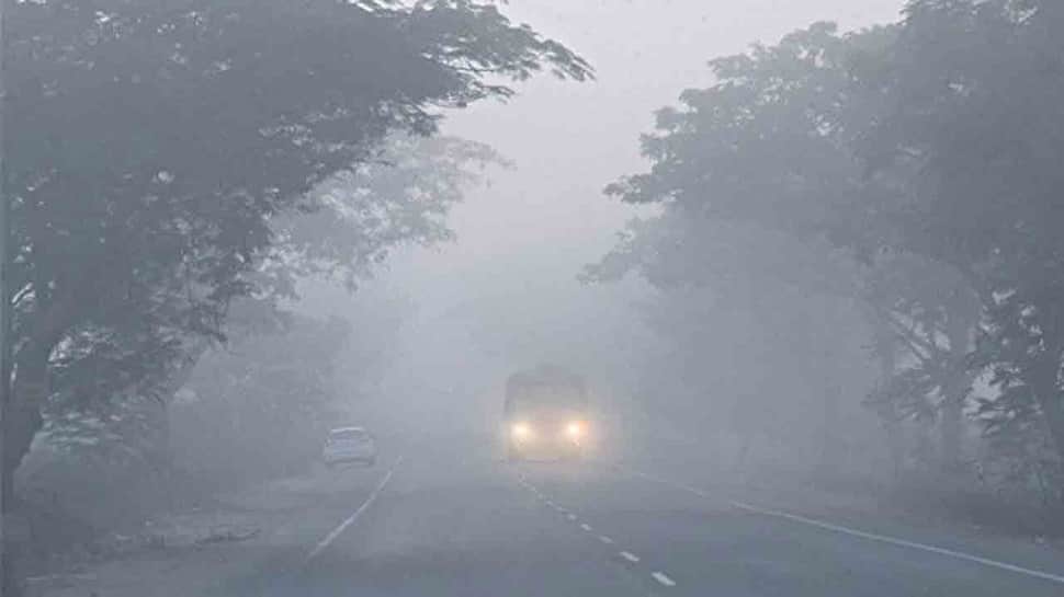 FOG Alert for Driving: Here&#039;s how to avoid accidents and drive safe? Tips and Tricks