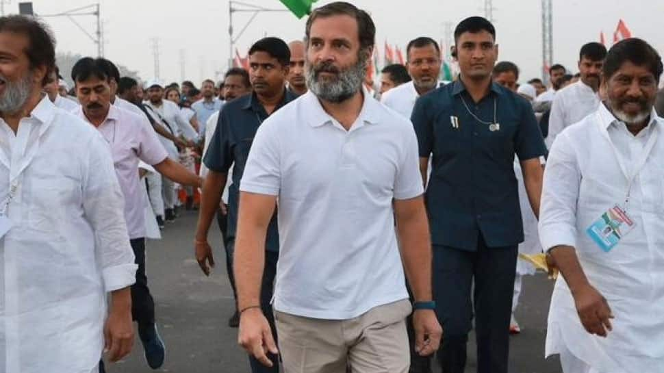 ‘Suspend Bharat Jodo Yatra if…’: Centre tells Rahul Gandhi amid fresh concerns over Covid-19 situation in India