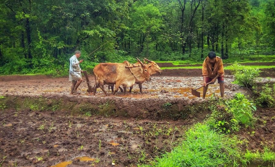 Anand Mahindra pays tribute to Indian farmers on Kisan Diwas 2022 with video making a farmer face with tractors - Watch