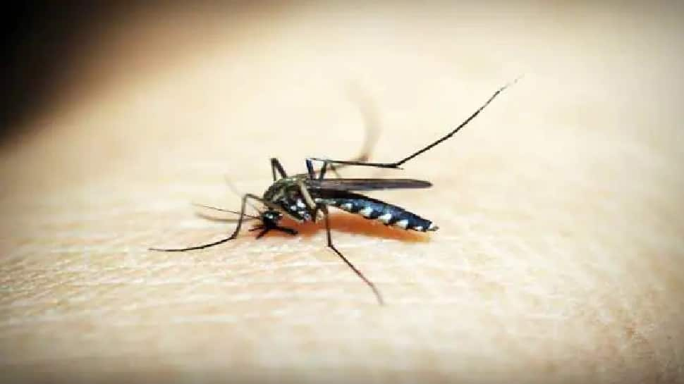 Delhi reports over 4,000 Dengue cases, death toll rises to 7 in national capital